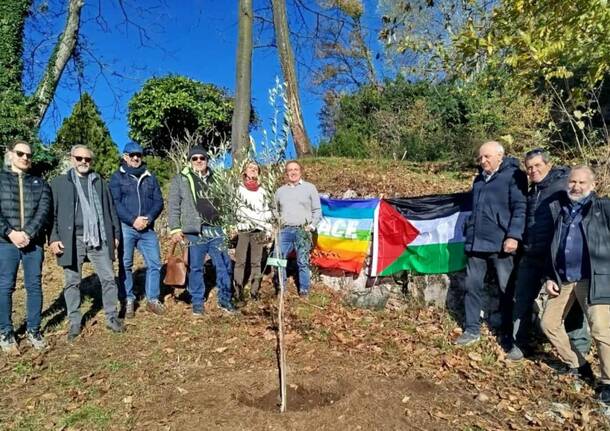 Generico 17 Nov 2025