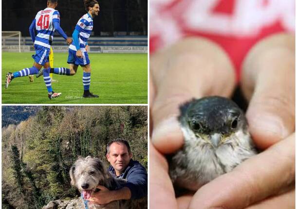 Generico 24 Nov 2025