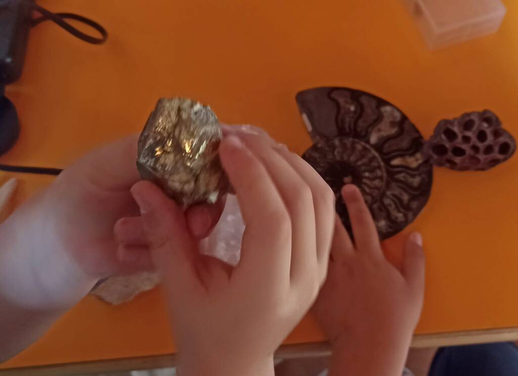 la bottega delle scoperte