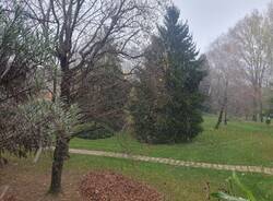 Primi fiocchi di neve (21/11/2025)