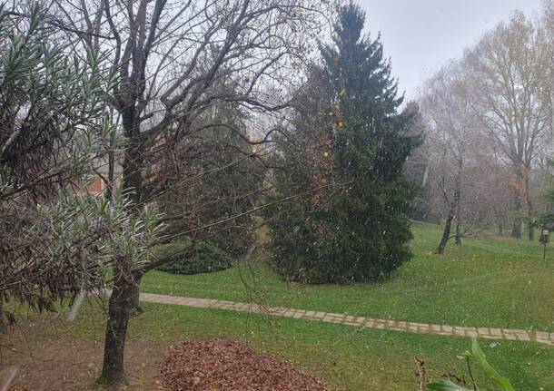 Primi fiocchi di neve (21/11/2025)
