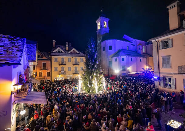 Albero di Natale Santa Maria Maggiore 