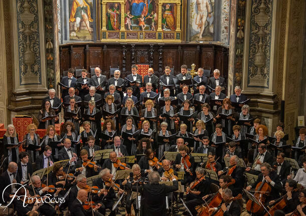 coro amadeus