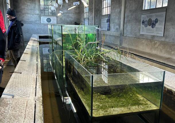 Il "piccolo mondo" di Cazzago Brabbia sul Lago di Varese