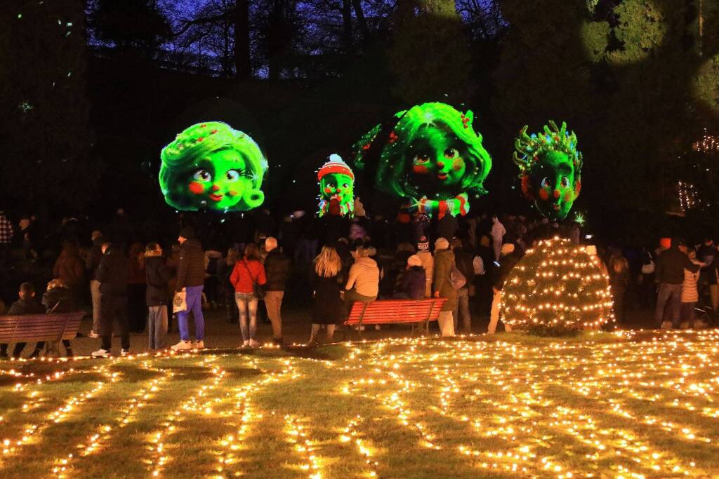 Luci a Natale in provincia di Varese
