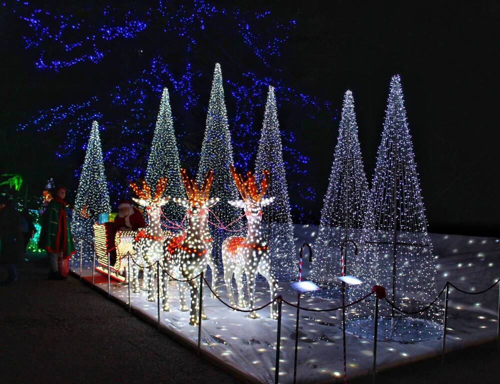 Luci a Natale in provincia di Varese