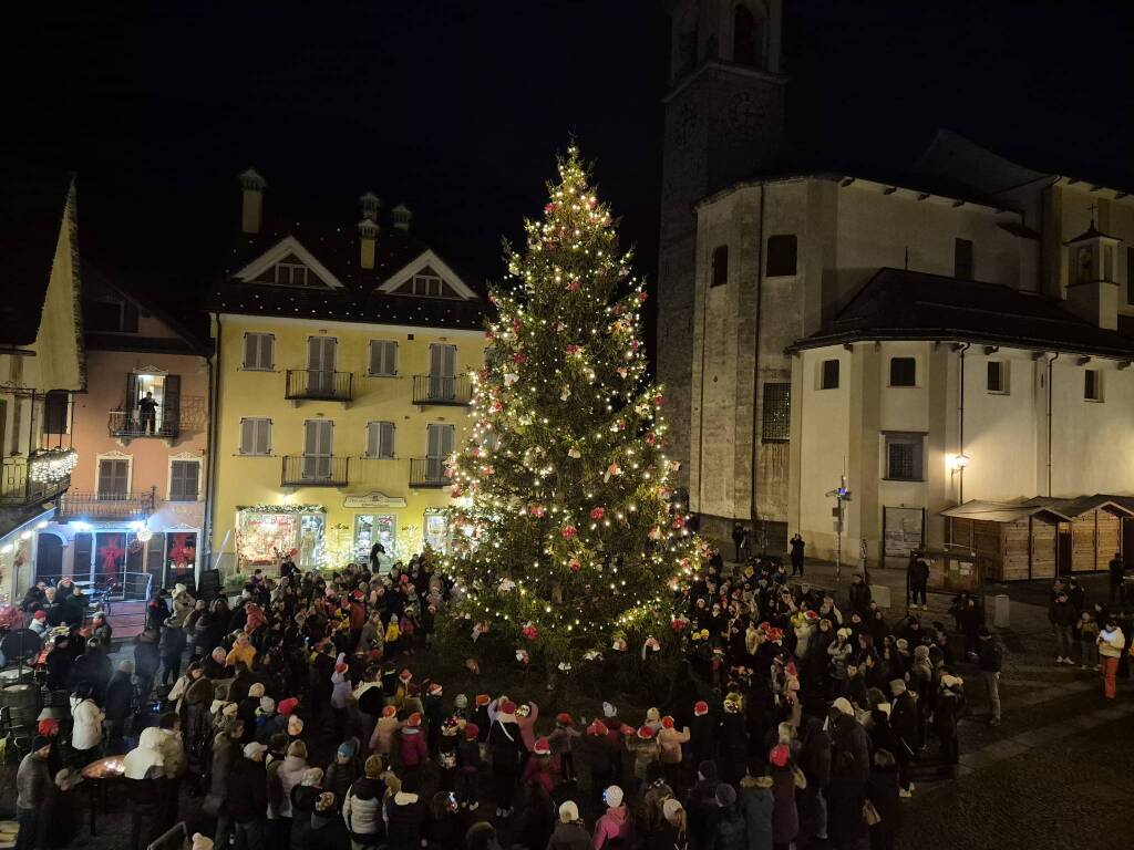 Santa Maria Maggiore accende l'albero di Natale e si prepara ai mercatini