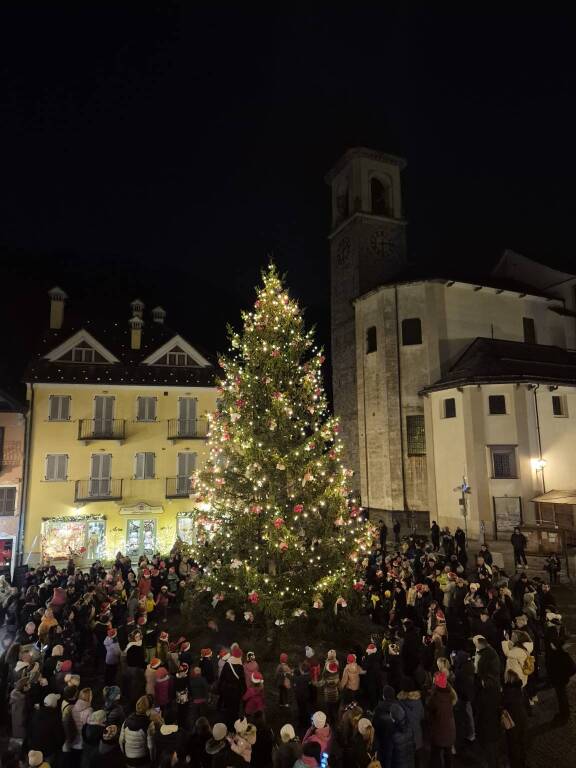 Santa Maria Maggiore accende l'albero di Natale e si prepara ai mercatini