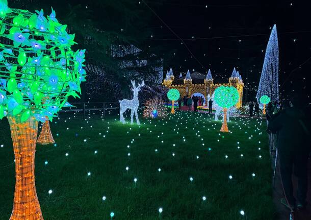 Si accendono le lucine di Natale di Leggiuno