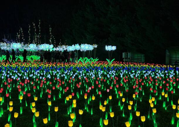 Si accendono le lucine di Natale di Leggiuno