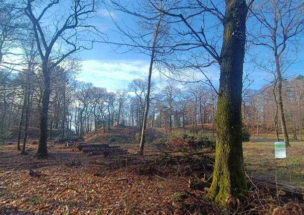 Generico 26 Jan 2026