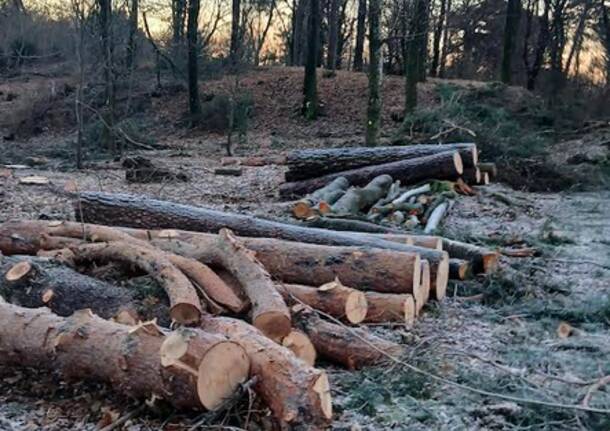 Generico 26 Jan 2026