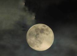 luna piena del lupo foto barbara canaglia