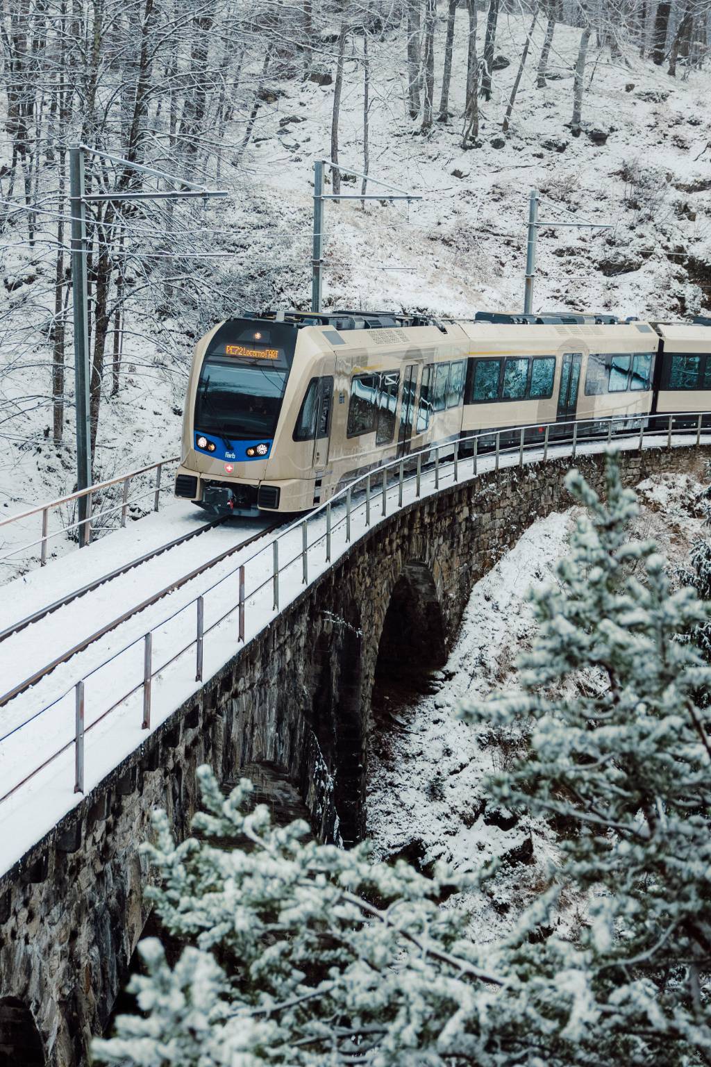 Ferrovia Vigezzina inverno/primavera 2025 