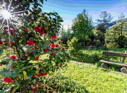 Ferrovia Vigezzina inverno/primavera 2025 