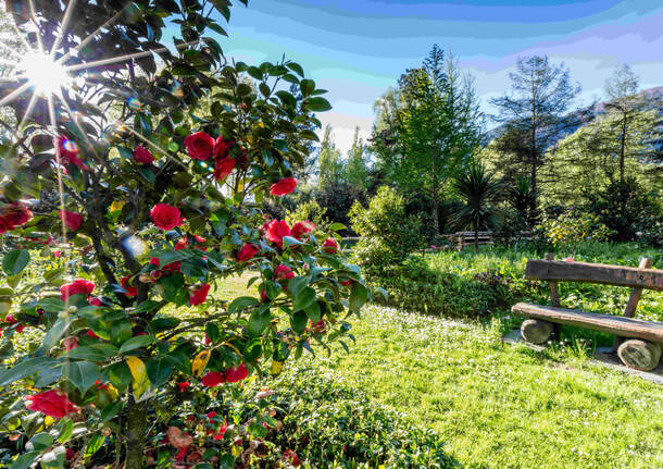 Ferrovia Vigezzina inverno/primavera 2025 