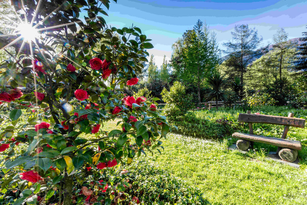 Ferrovia Vigezzina inverno/primavera 2025 