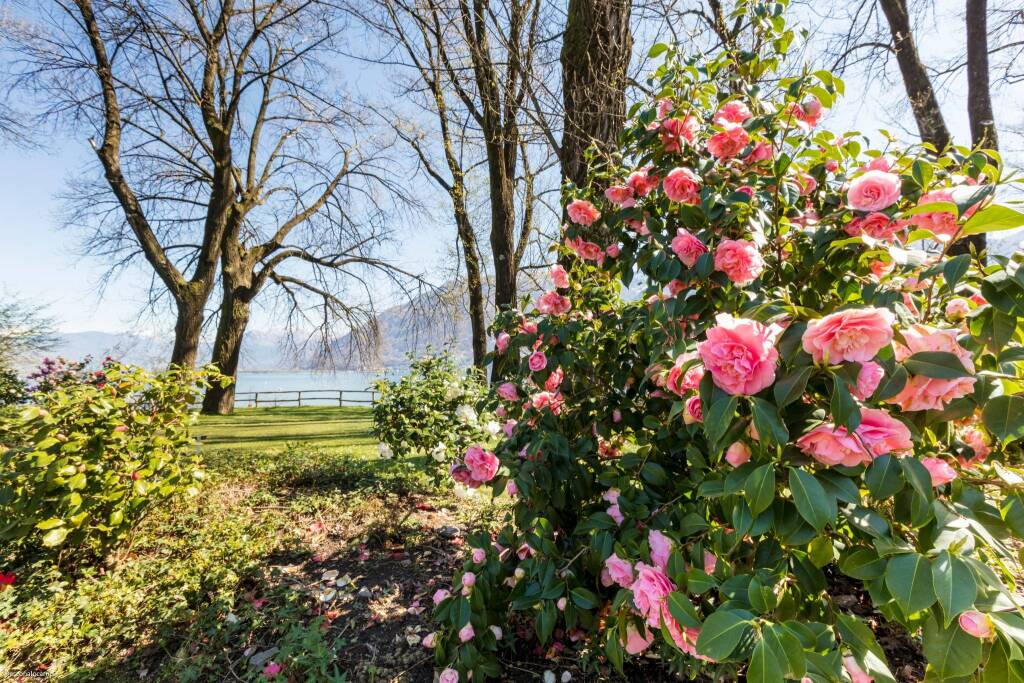 Ferrovia Vigezzina inverno/primavera 2025 