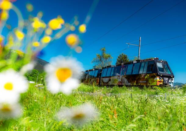 Ferrovia Vigezzina inverno/primavera 2025 