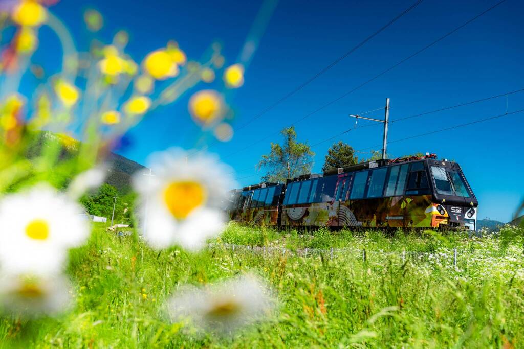 Ferrovia Vigezzina inverno/primavera 2025 