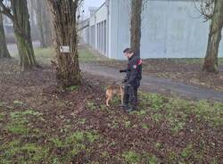 Generico 02 Feb 2026