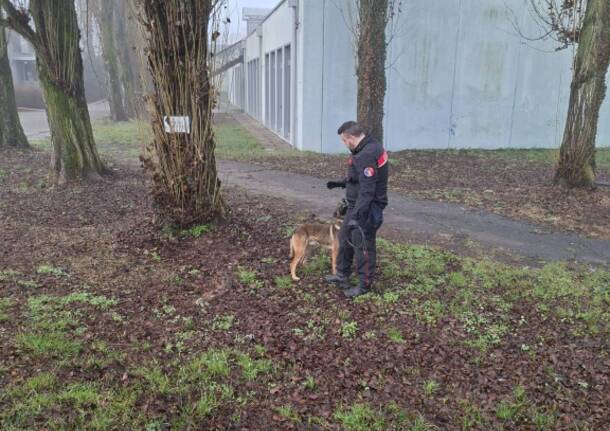 Generico 02 Feb 2026