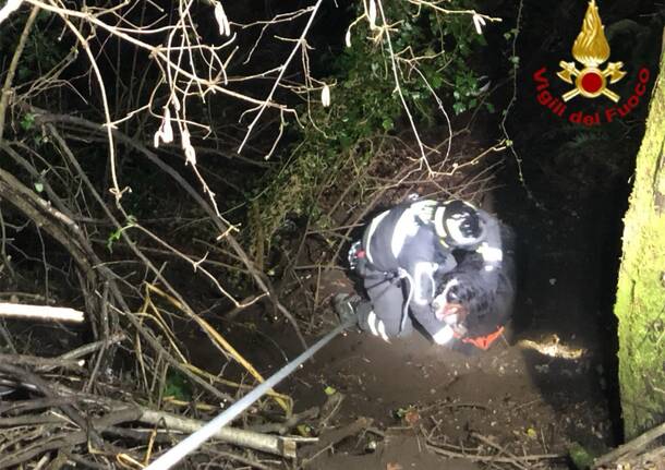 Generico 02 Feb 2026