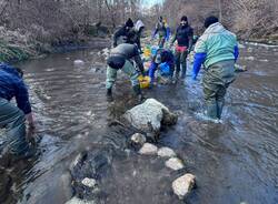 Generico 09 Feb 2026