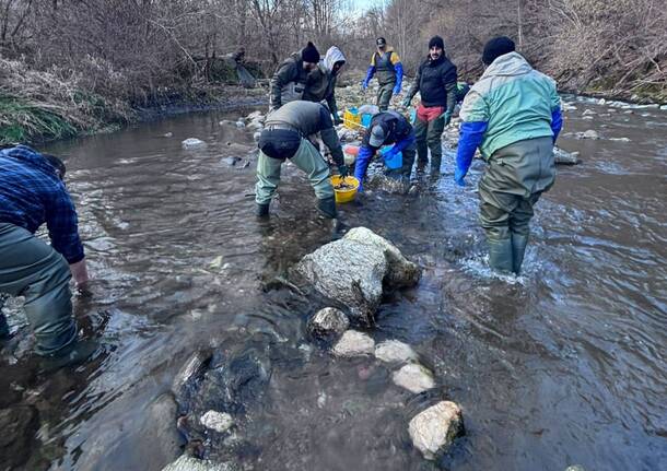 Generico 09 Feb 2026