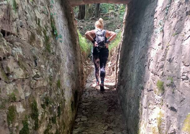 Generico 16 Feb 2026