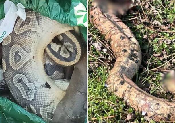 Generico 16 Feb 2026