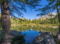 Generico 23 Feb 2026