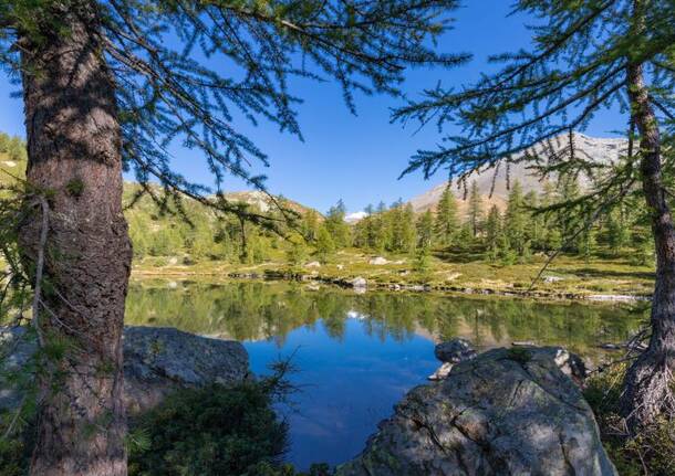 Generico 23 Feb 2026