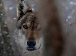 Generico 23 Feb 2026