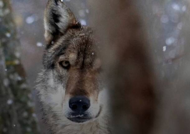 Generico 23 Feb 2026