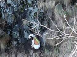 Generico 26 Jan 2026