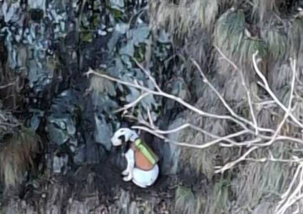 Generico 26 Jan 2026