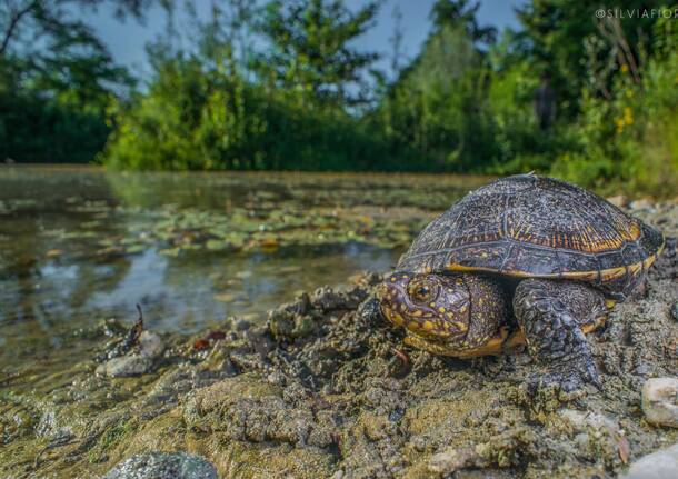 Generico 26 Jan 2026