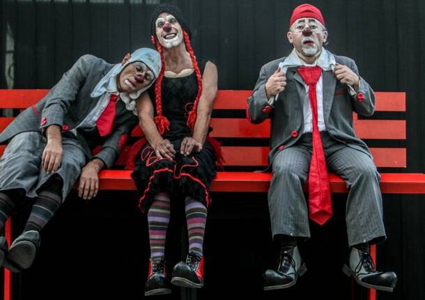 incomica eccentrici dadarò