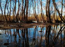 parco del ticino - foto di eugenio prlando
