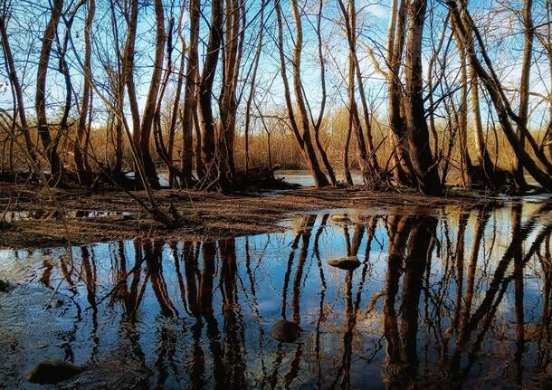 parco del ticino - foto di eugenio prlando