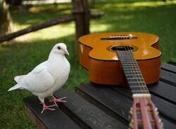 sesto per la pace evento febbraio 2026