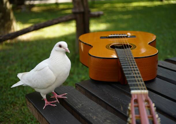 sesto per la pace evento febbraio 2026