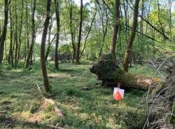 acquanegra travdona monate 