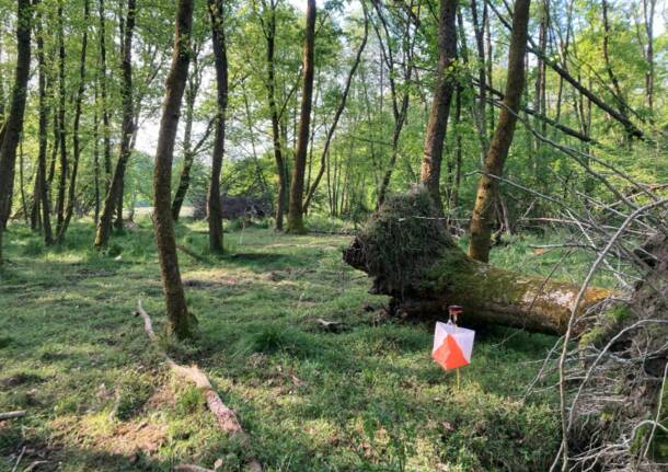 acquanegra travdona monate 