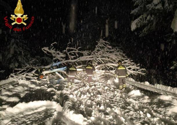 Maxi nevicata nel Vco, decine di interventi nella notte tra sabato e domenica