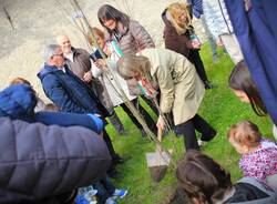 cittiglio albero cycling sport promotion