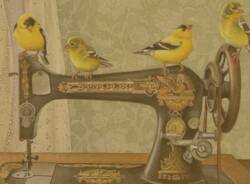 Generico 02 Mar 2026