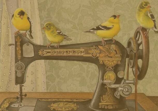 Generico 02 Mar 2026