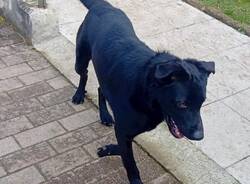 Generico 02 Mar 2026